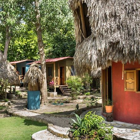 Alice Guesthouse El Remate Luaran gambar