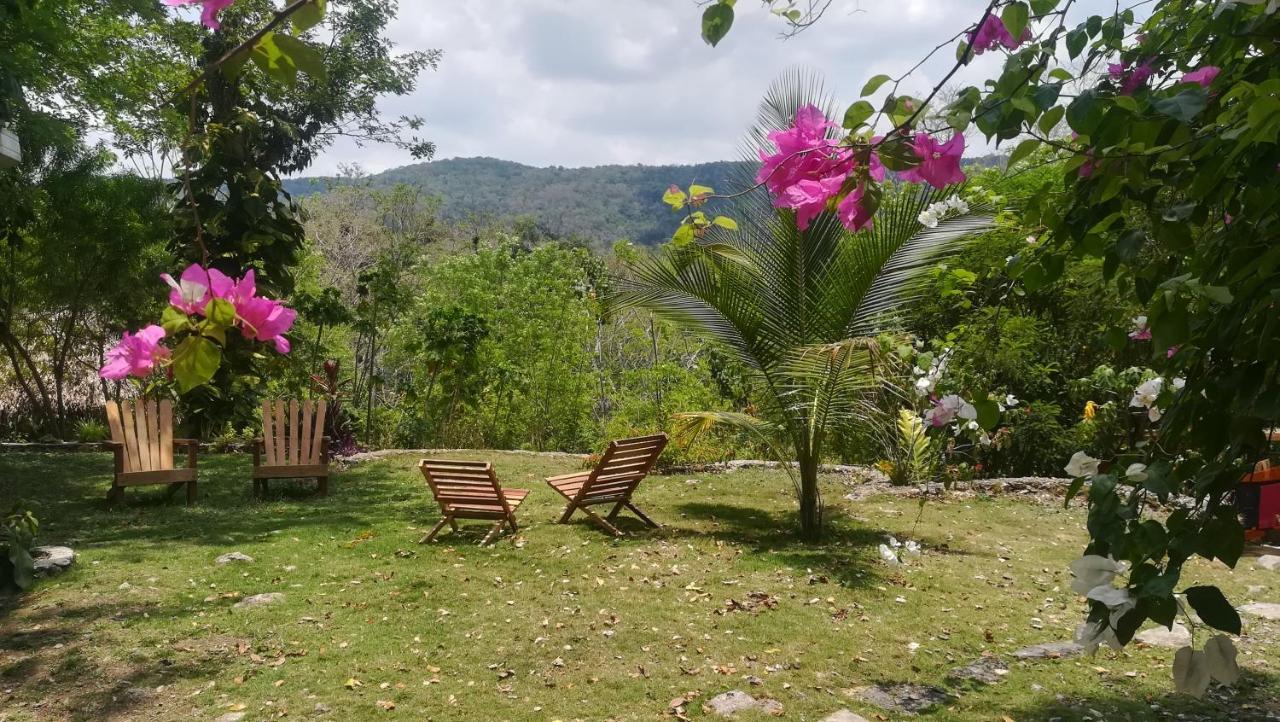 Alice Guesthouse El Remate Luaran gambar